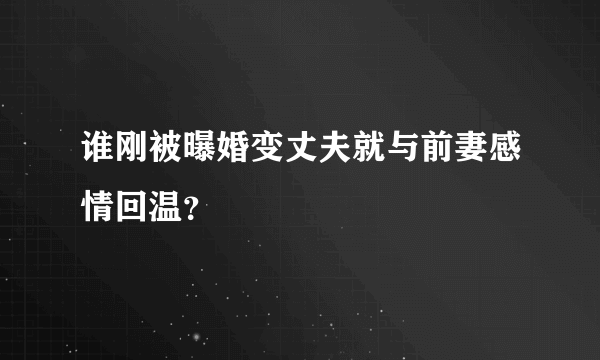 谁刚被曝婚变丈夫就与前妻感情回温？