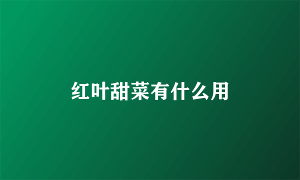 红叶甜菜有什么用