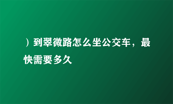 ）到翠微路怎么坐公交车，最快需要多久