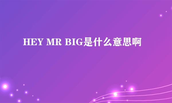 HEY MR BIG是什么意思啊