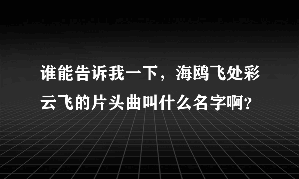 谁能告诉我一下，海鸥飞处彩云飞的片头曲叫什么名字啊？