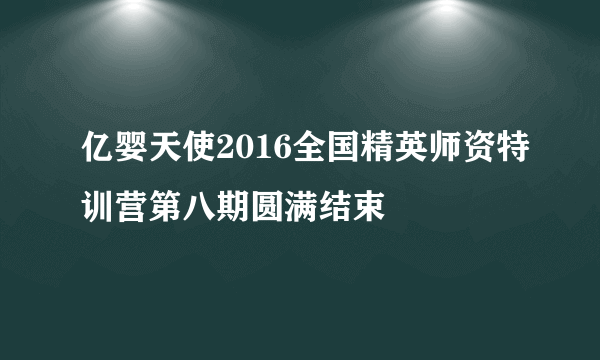 亿婴天使2016全国精英师资特训营第八期圆满结束