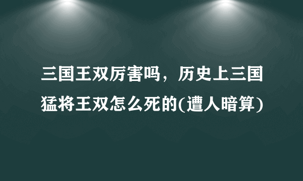 三国王双厉害吗，历史上三国猛将王双怎么死的(遭人暗算)