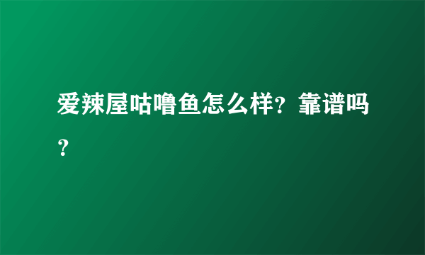 爱辣屋咕噜鱼怎么样？靠谱吗？