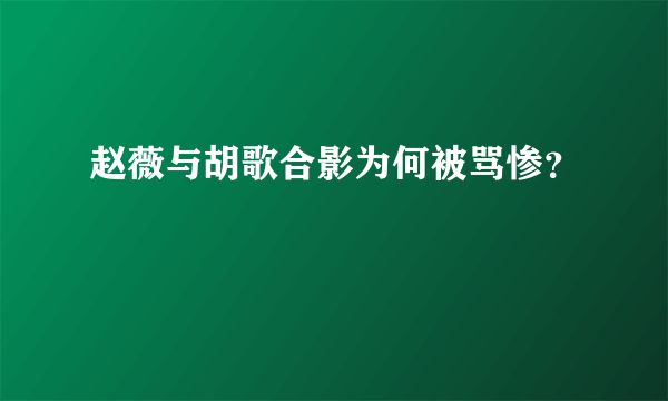 赵薇与胡歌合影为何被骂惨？