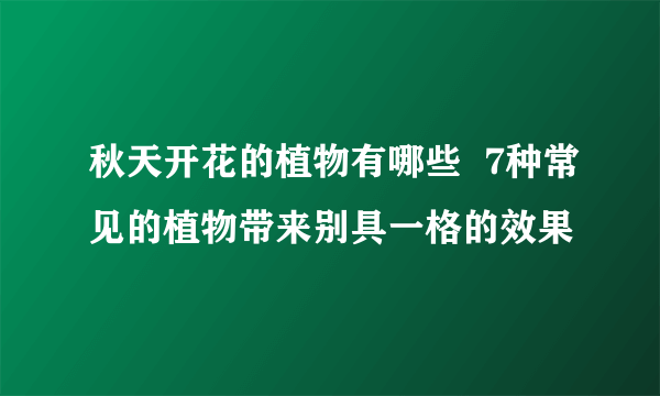 秋天开花的植物有哪些  7种常见的植物带来别具一格的效果