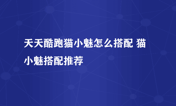 天天酷跑猫小魅怎么搭配 猫小魅搭配推荐