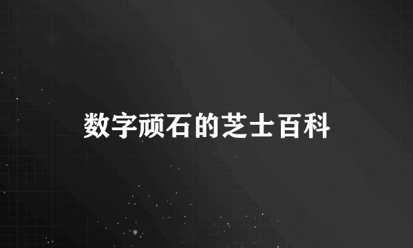 数字顽石的芝士百科