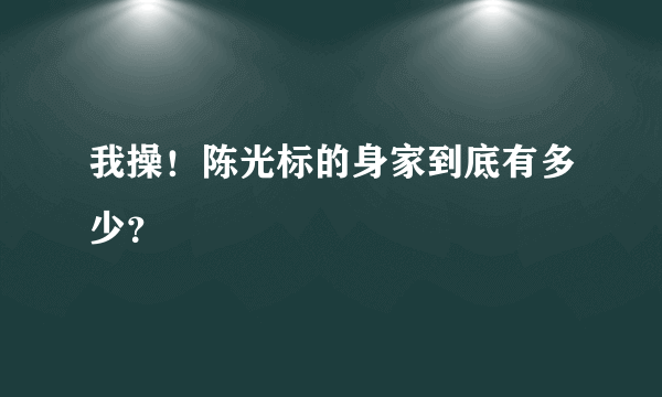 我操！陈光标的身家到底有多少？