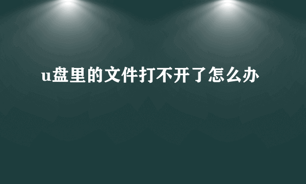 u盘里的文件打不开了怎么办