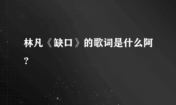 林凡《缺口》的歌词是什么阿？