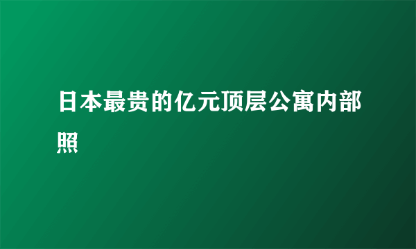 日本最贵的亿元顶层公寓内部照