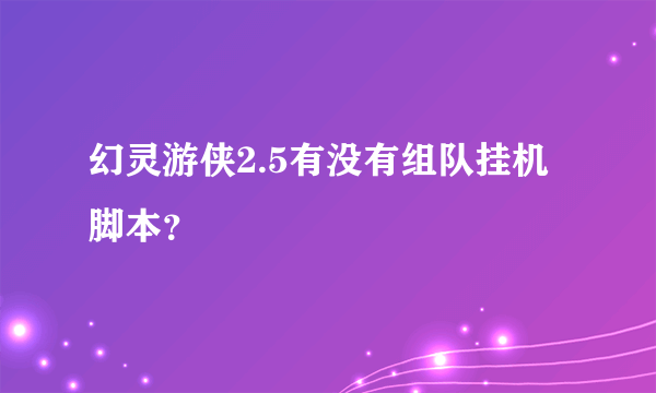 幻灵游侠2.5有没有组队挂机脚本？