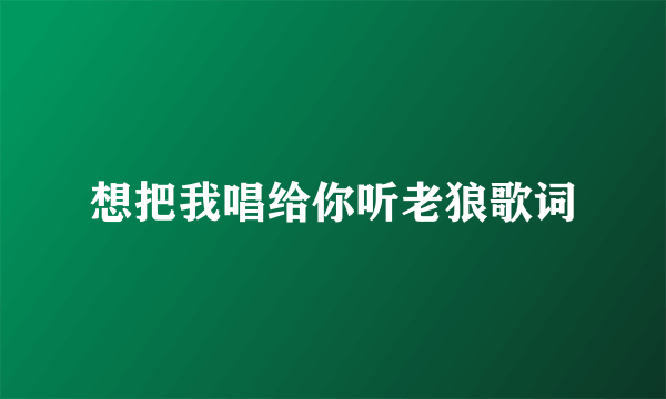 想把我唱给你听老狼歌词