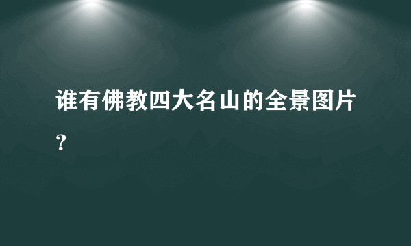 谁有佛教四大名山的全景图片？