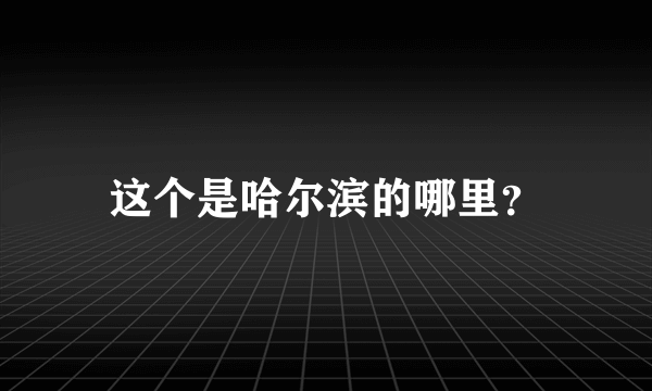 这个是哈尔滨的哪里？