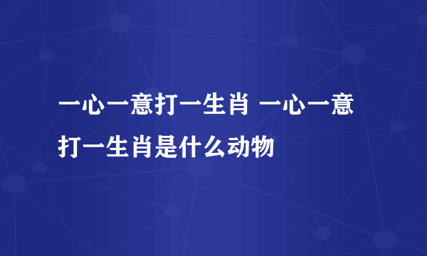 一心一意打一生肖 一心一意打一生肖是什么动物