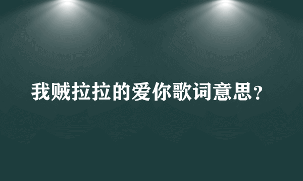 我贼拉拉的爱你歌词意思？