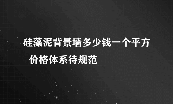 硅藻泥背景墙多少钱一个平方  价格体系待规范