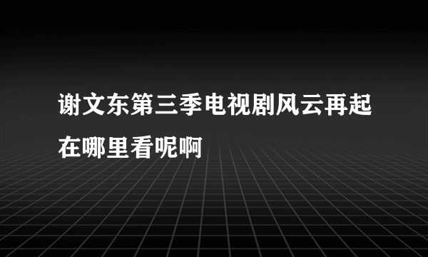 谢文东第三季电视剧风云再起在哪里看呢啊