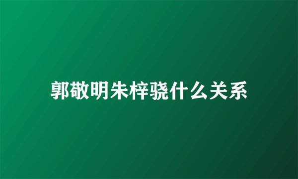 郭敬明朱梓骁什么关系