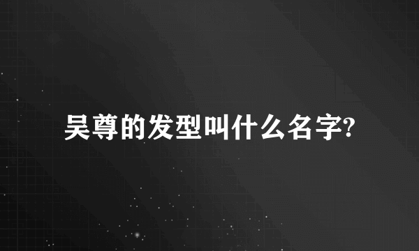 吴尊的发型叫什么名字?