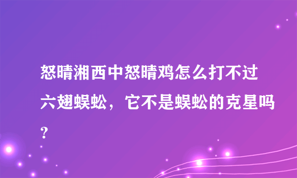 怒晴湘西中怒晴鸡怎么打不过六翅蜈蚣，它不是蜈蚣的克星吗？