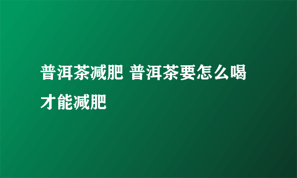 普洱茶减肥 普洱茶要怎么喝才能减肥