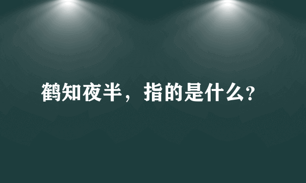 鹤知夜半，指的是什么？