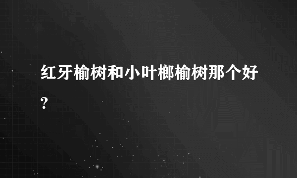 红牙榆树和小叶榔榆树那个好？