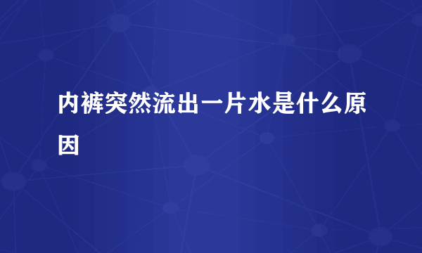 内裤突然流出一片水是什么原因