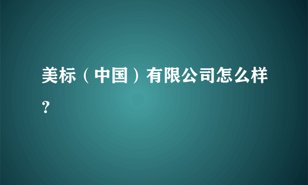 美标（中国）有限公司怎么样？