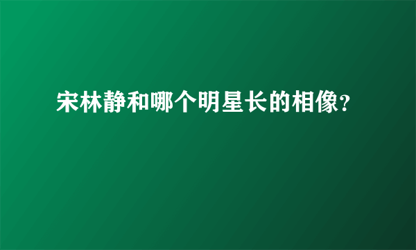 宋林静和哪个明星长的相像？