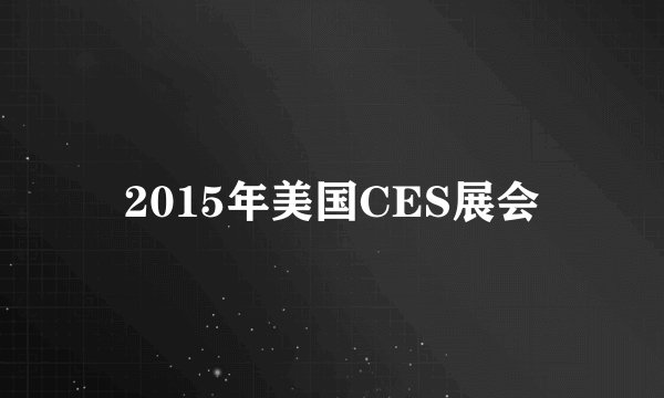 2015年美国CES展会