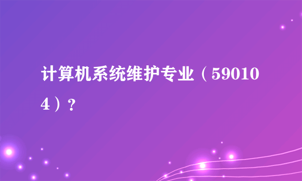 计算机系统维护专业（590104）？