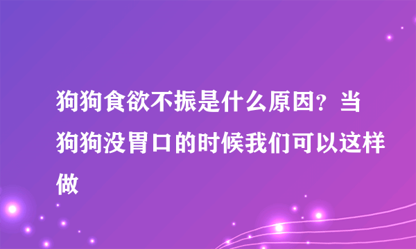 狗狗食欲不振是什么原因？当狗狗没胃口的时候我们可以这样做