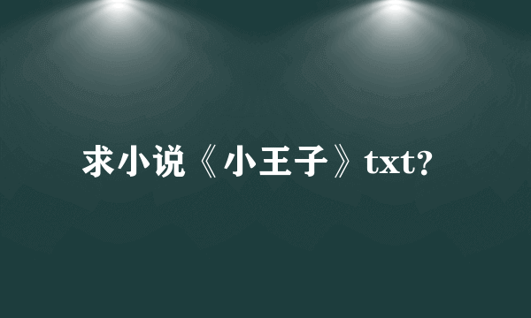 求小说《小王子》txt？