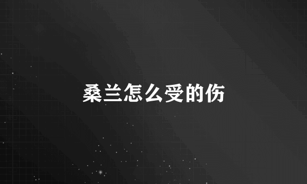 桑兰怎么受的伤