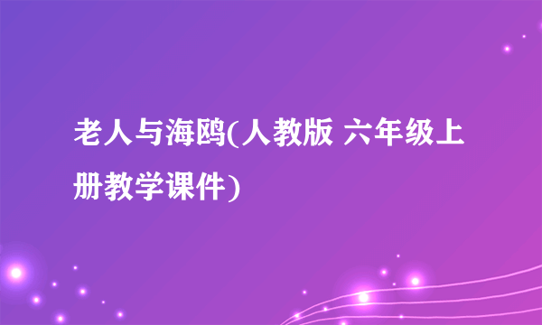 老人与海鸥(人教版 六年级上册教学课件)