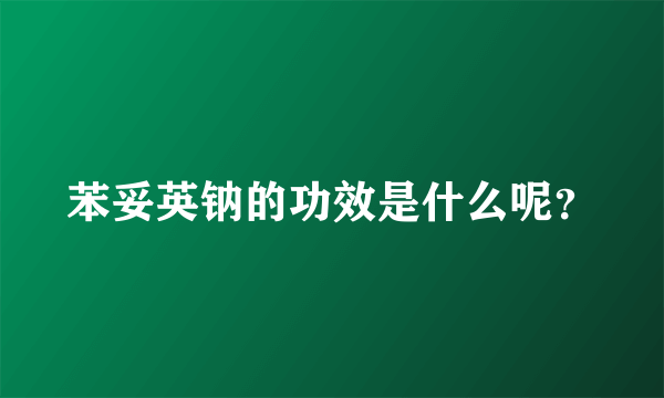 苯妥英钠的功效是什么呢？