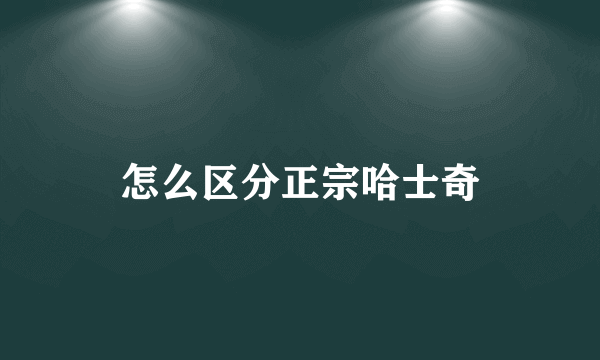 怎么区分正宗哈士奇