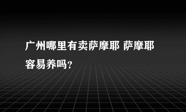 广州哪里有卖萨摩耶 萨摩耶容易养吗？