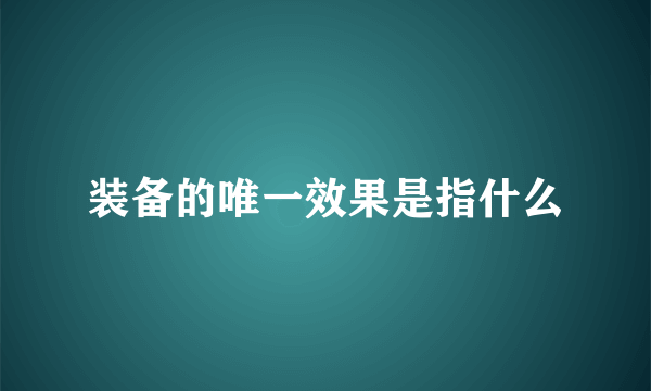 装备的唯一效果是指什么