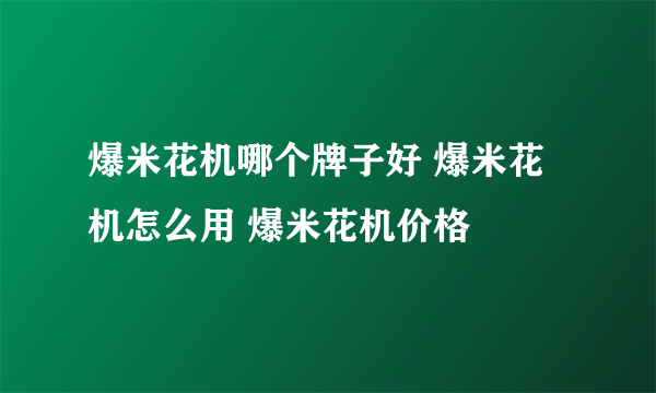 爆米花机哪个牌子好 爆米花机怎么用 爆米花机价格