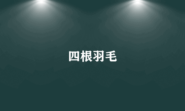 四根羽毛