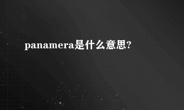 panamera是什么意思?