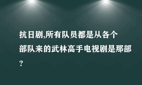 抗日剧,所有队员都是从各个部队来的武林高手电视剧是那部？