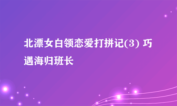 北漂女白领恋爱打拼记(3) 巧遇海归班长