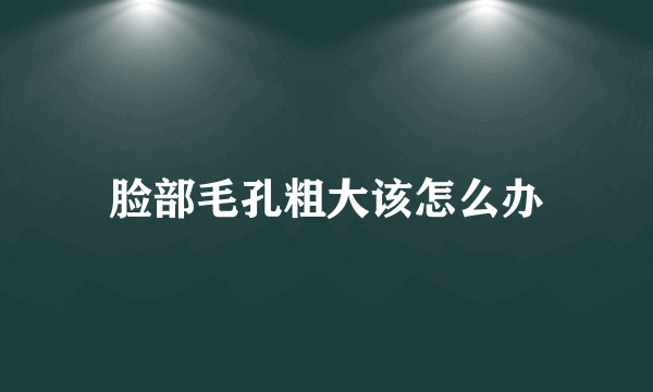 脸部毛孔粗大该怎么办