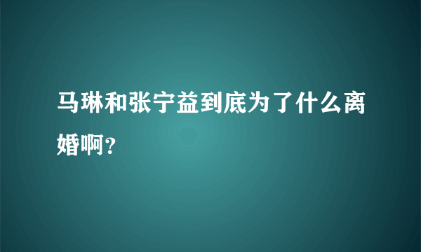 马琳和张宁益到底为了什么离婚啊？